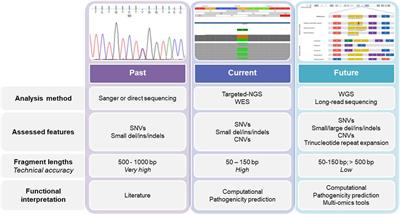 Genetics and Genomics Approaches for Diagnosis and Research Into Hereditary Anemias